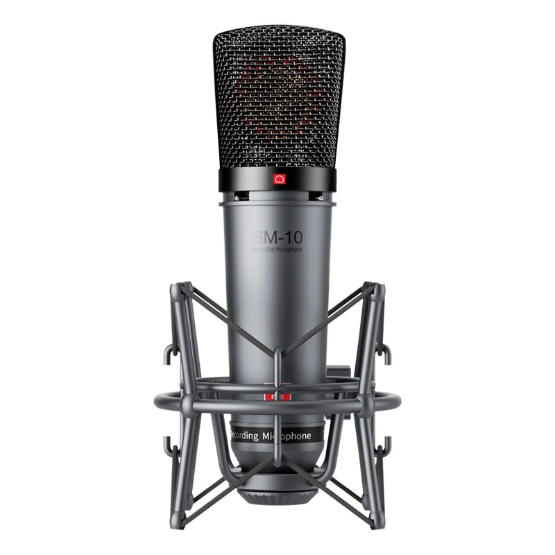 Takstar SM-10 Professional Recording Microphone Home Studio Voice Recording Equipment Condenser Microphones Wired XLR Mic