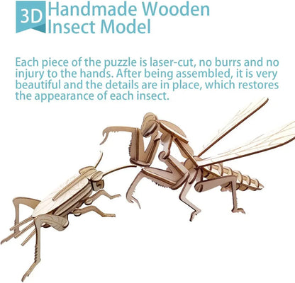 DIY 3D Wooden Puzzle Models