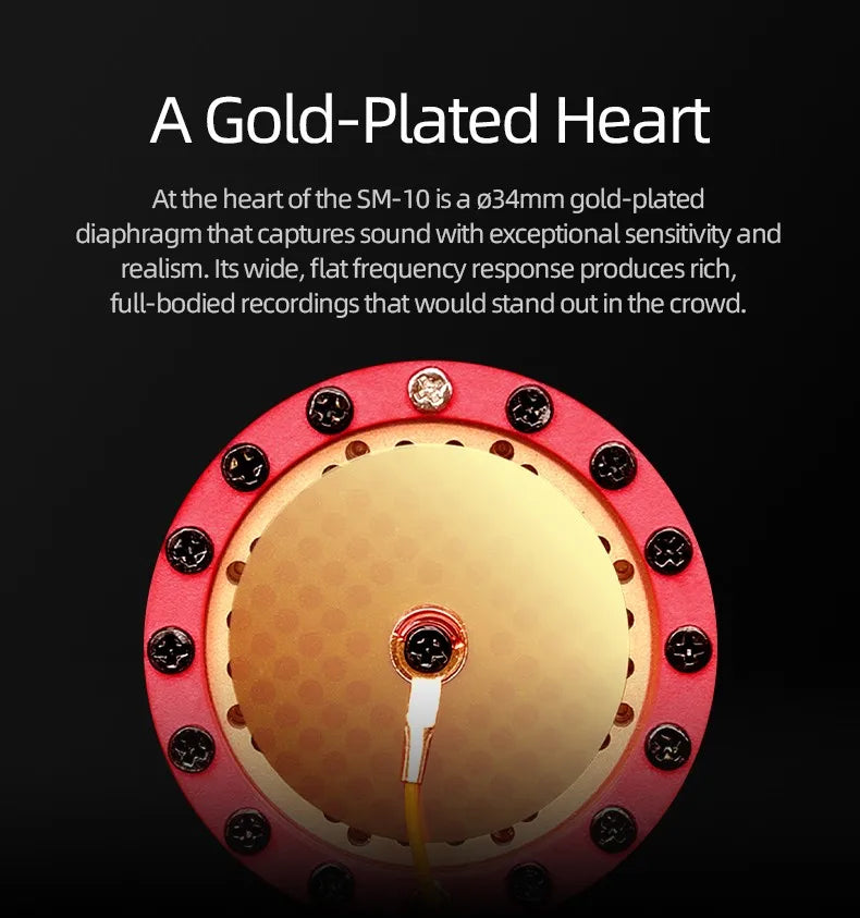 Takstar SM-10 Professional Recording Microphone Home Studio Voice Recording Equipment Condenser Microphones Wired XLR Mic