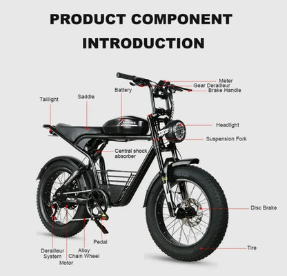 SAMEBIKE M20 2000W Hydraulic Brake, Brushless Motor 20*4" Fat Tire E-Bike - 48V32AH Dual Battery