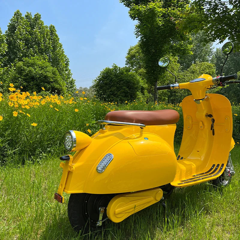 Vintage Electric Scooter Bike – 1200W High Speed Adult Electric Moped with 60V Battery for City Commuting