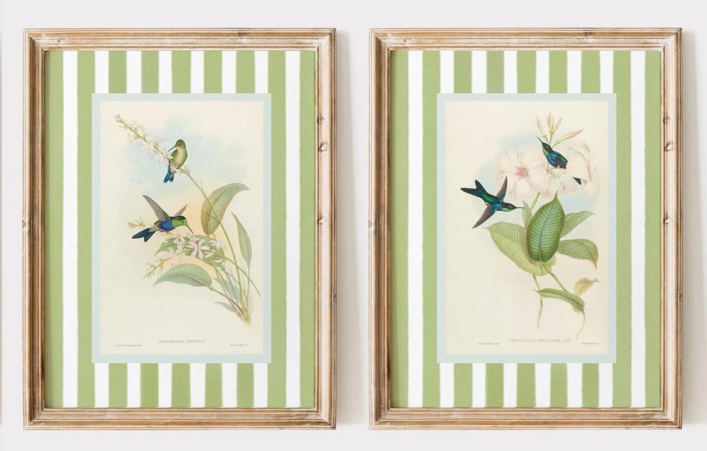 Retro Hummingbird Canvas Prints - 2pcs/set