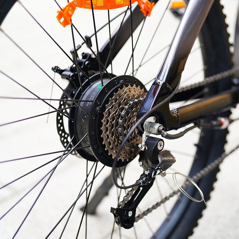 Q5 9 Speed Mountain City E-Bike