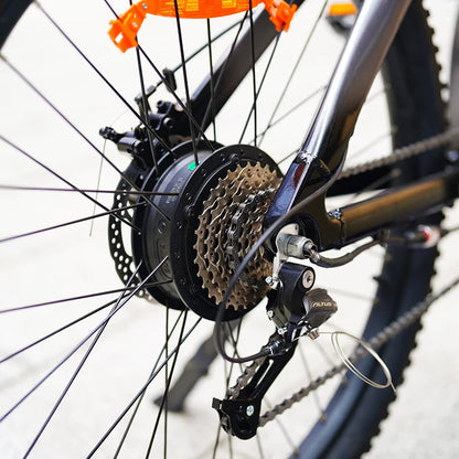 Q5 9 Speed Mountain City E-Bike