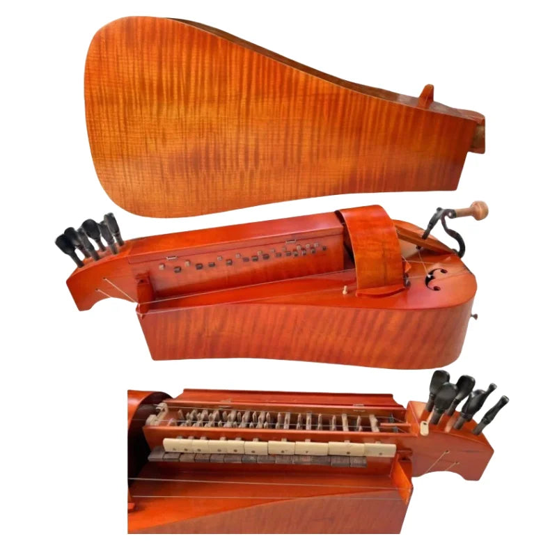 6 strings 24 keys Maple wood back Hurdy Gurdy - 6 Different Color