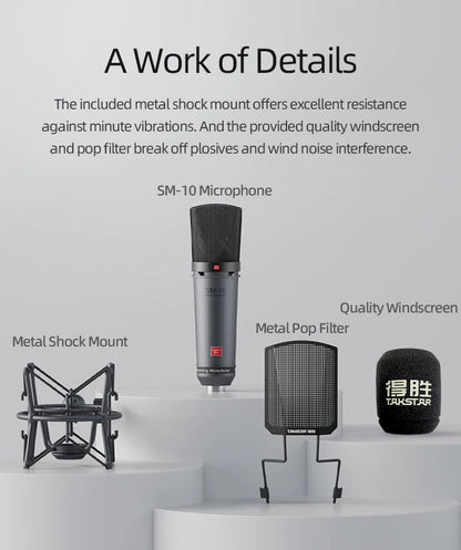 Takstar SM-10 Professional Recording Microphone Home Studio Voice Recording Equipment Condenser Microphones Wired XLR Mic
