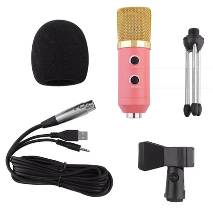 PlugNPlay Studio Mic MK-F100TL