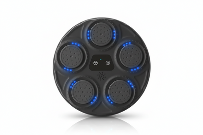 Interactive Boxing Reflex Trainer