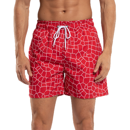 Men's Quick-Drying Mesh Lined Beach Surf Shorts