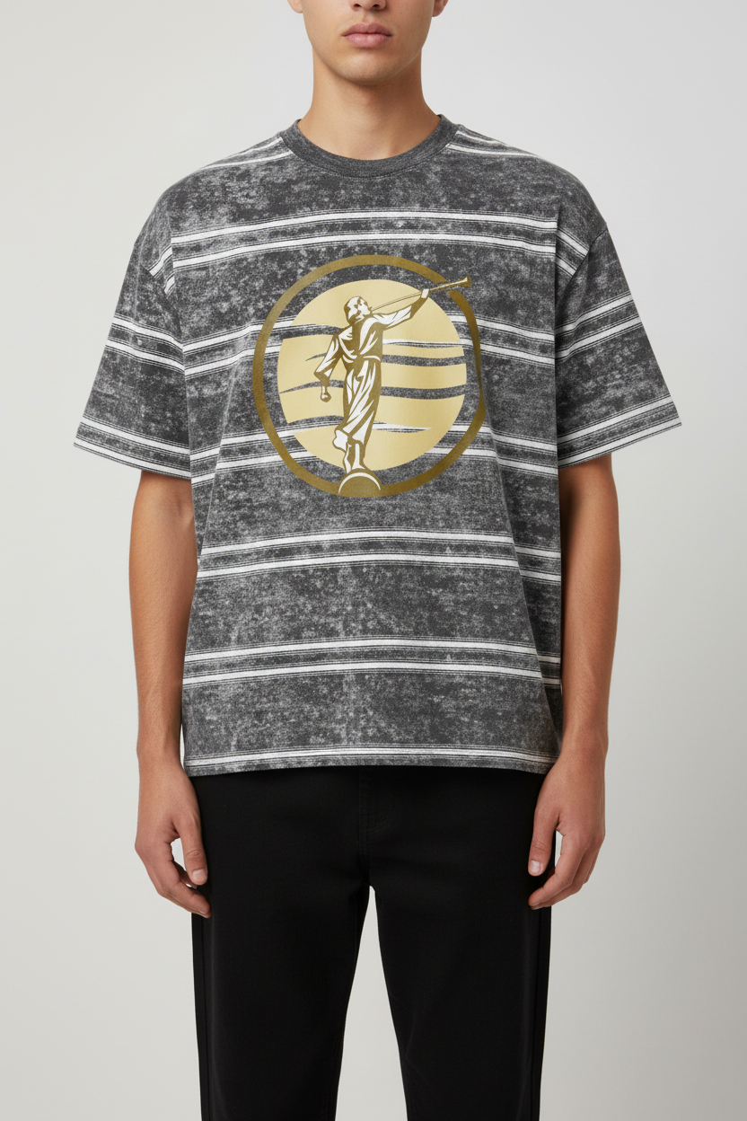 Snow Washed Striped Boxy T-Shirt