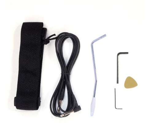 Black 170 Type Electric Guitar [Beginner's Kit]