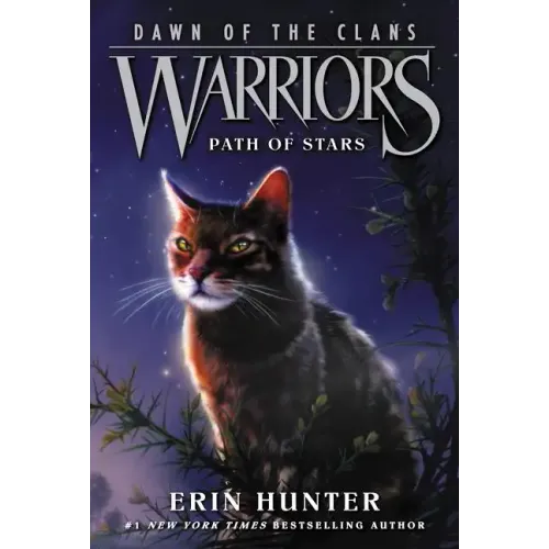 Warriors: Dawn of the Clans #6: Path of Stars