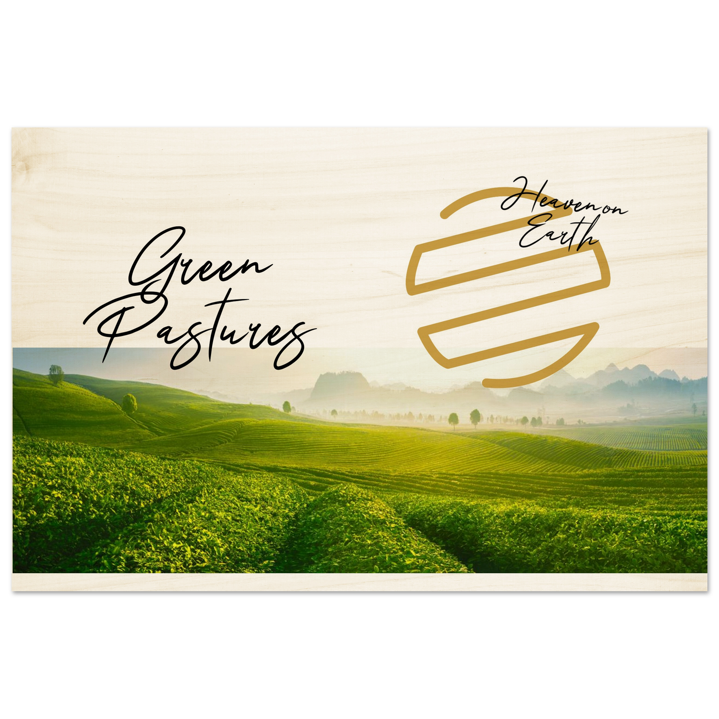 fe64474a-ba36-47f0-9074-d41eda171ff4