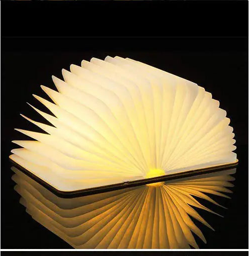 Creative LED Wooden Book Lamp with USB Charging