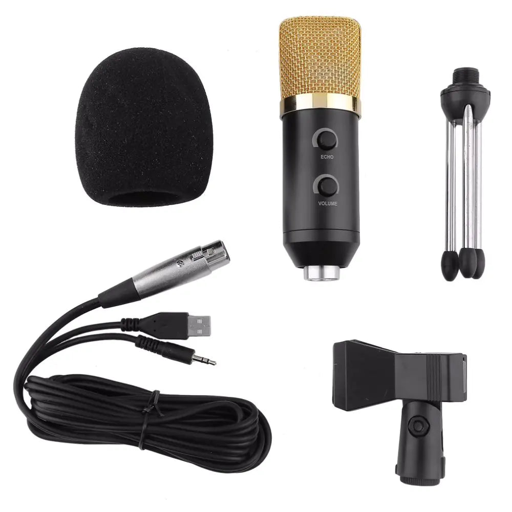 PlugNPlay Studio Mic MK-F100TL
