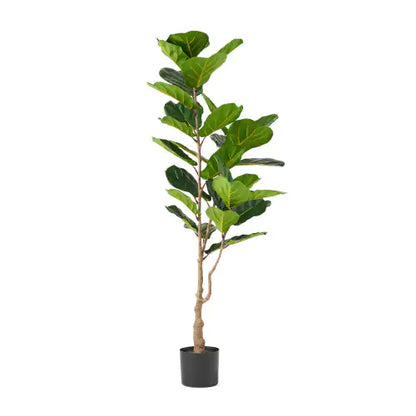 150CM Artificial Violin Leaf Fig Tree